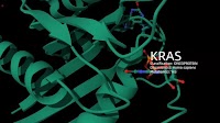 ACS Medicinal Chemistry Letters｜Insilico Medicine’s Chemistry42 empowers Pan-KRAS inhibitors of novel chemotype