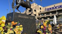 How The Breeders Cup And Aftercare Can Work Together