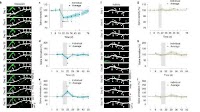 How Long-Term Benzodiazepine Use Leads to Cognitive Impairments