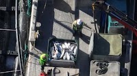 Fish farm 'extremely disappointed' after live salmon sealed in tub