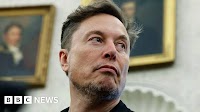 Who is Elon Musk and what is his net worth?