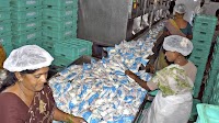KMF struggles as time frame for milk sale shrinks
