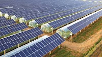 Waaree Energies to Acquire Enel Green Power India for ₹792 Crore