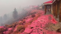 Firefighters and weather are stabilizing Oregon wildfire. Flames so far spare California wineries