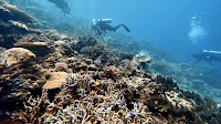 ADB Issues First Blue Bond for Ocean Investments