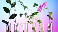 What Is NAD+? Everything to Know About the Celebrity Biohacking Trend