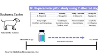 MSCLF: SAT-3247 Enhances Muscle Repair in Canine Model of DMD…