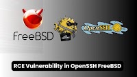 Vulnerability in OpenSSH FreeBSD Let Hackers Gain Root Access Remotely
