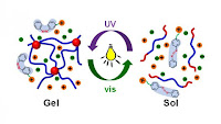 Photoreversible molecular switch changes the physical property of thermoresponsive polymer