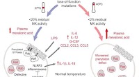 Increased core body temperature exacerbates defective protein prenylation in mouse models of mevalonate kinase deficiency