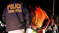 Immigration Officials Arrest 280 at Texas Company