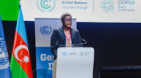 COP29 decisions deliver gains for gender equality in climate action, but more remains to be done