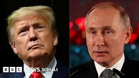 Trump iyo Putin oo kulmi doona, waase halkee goobta?