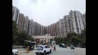 STP not functional, FIR filed against AOA