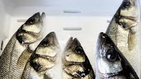 Global whitefish prices soaring