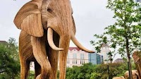 Great Elephant Migration travels to Sonoma