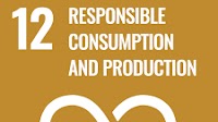Goal 12: Ensure sustainable consumption and production patterns