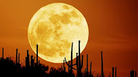 Does a full moon make people mad?