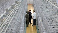 North Korea could soon enrich 230 kg of weapons-grade uranium per year: Report