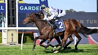 TJ Smith Stakes 2025 – Field, Odds, Horses, Betting Tips, and Runner Preview