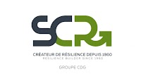 Société Centrale de Réassurance (SCR): improved results in 2024