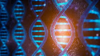 Genetic Resistance to KRASG12C Inhibitors in CRC and PDAC