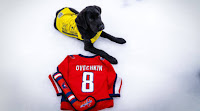 America’s VetDogs Names Future Service Dog “Ovi” in Honor of NHL Legend Alex Ovechkin’s Record-Breaking Career