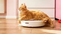 Best robot vacuums of 2025: Top 5 models for the home