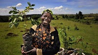 Support Sustainable Development and Climate Action