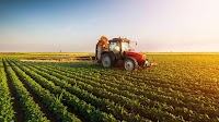 Agribusiness Newsletter | April 2025