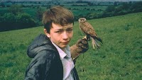 I'm in my 20s and watched Kes for the first time - it taught me something everyone my age needs to know