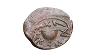 Rare coin from Jewish revolt against Romans uncovered near Temple Mount