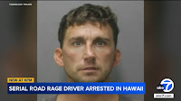 Tesla driver Nathaniel Radimak arrested again in Hawaii, less than a year after prison release for SoCal charges