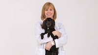 Dr. Lara Sypniewski helps care for Pete's Pet Posse