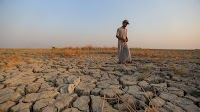 Iraq to Cut Wheat and Barley Cultivation Amid Severe Water Shortage