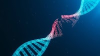 DNA damage in older age increases expression of ACE2 and SARS-CoV-2 infection risk