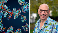 New Danish research centre to make designed proteins with vast potential