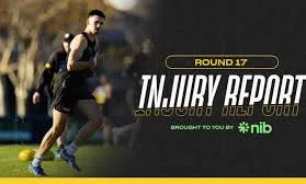Injury Report: Round 17, 2025