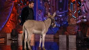 Bigg Boss 18: PETA Calls Out Use of Donkey, Urges Salman Khan to Avoid Animal Props