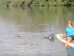 Stand up paddle board florida