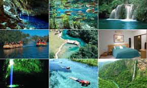 Afbeeldingsresultaat voor bonito brazil