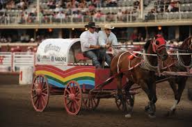 Curtis Glencross : Chuckwagon Driver - Capitals Outsider ... via Relatably.com