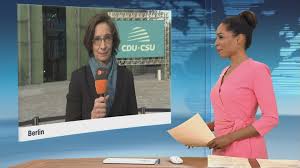 "Einiges Kopfschütteln in der Unionsfraktion"