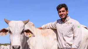 Jovem pecuarista sorri ao lado de um boi Nelore em dia ensolarado, com céu azul ao fundo.