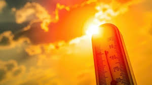 What is the Highest Temperature Ever Recorded in Delhi?