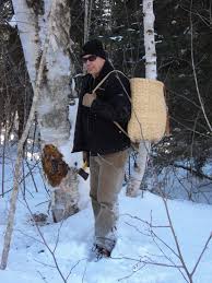 Image result for chaga mushroom images