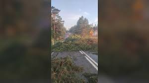 Szczecin-TVP - News update