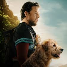 Trend Google: trama film rai 3 stasera