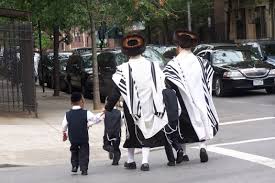 Image result for hasidic jews