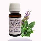 Oli Essenziali Di Salvia e Salvia Sclarea: Consigli Uso